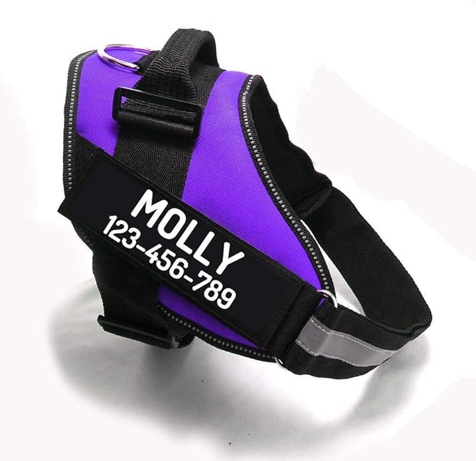 PawPawify Custom No Pull Dog Harness with Name and Phone Number, Heavy Duty Personalized Pet Vest to Prevent Tugging, Pulling, or Choking, Training and Walking (Purple, S (10-19LBS))