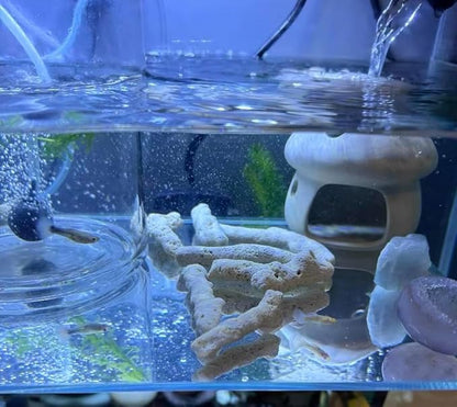 Aquarium Crushed Coral Filter Media, Natural Bio-Ceramic Filtration Material, Reusable for Fish Tank and Pond