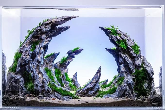 Ultra Clear Rimless Aquarium Tank 2-22 gallons Low Iron Glass (15Gal)