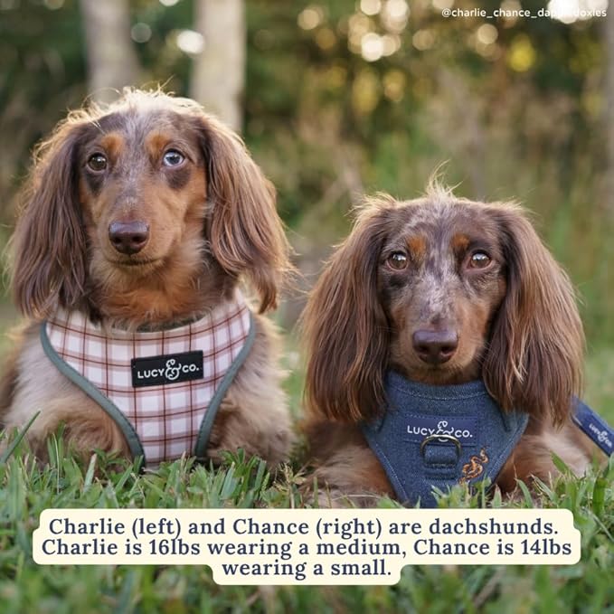 Lucy & Co. Cute Reversible Dog Harness Walking Halter - Best Designer Pet Harnesses for XS - XL Dogs - Padded Adjustable Vest for Easy Walking-Large-Green Outdoor Plaid