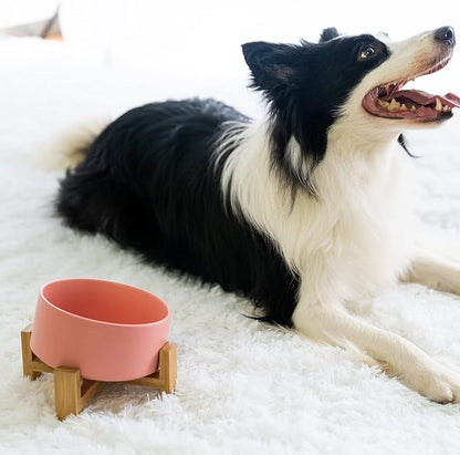 SPUNKYJUNKY 15° Slanted Ceramic Dog and Cat Bowl with Wooden Stand, Tilted Bulldog Food and Water Bowl No Slip Non-Spill for Cats Medium Dogs Big Face Pets 28.7 OZ (3.6 Cups,Pink)