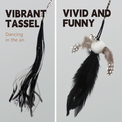 SONGWAY Cat Wand Toys for Indoor Cats - Cat Toy Set with Retractable Teaser Wand and 6 PCS Feather Toy Refills, Dragonfly Tassel Cat Toys Interactive, Black