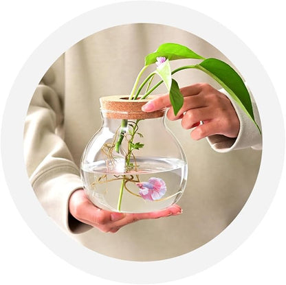 Small Fish Bowl, Cute Betta Tank, High Clear Fish Glass Bowl, Desktop Mini Aquarium Vases for Betta Fish and Hydroponic Plants, Plants Propagation Station, Home Office Table Decorations