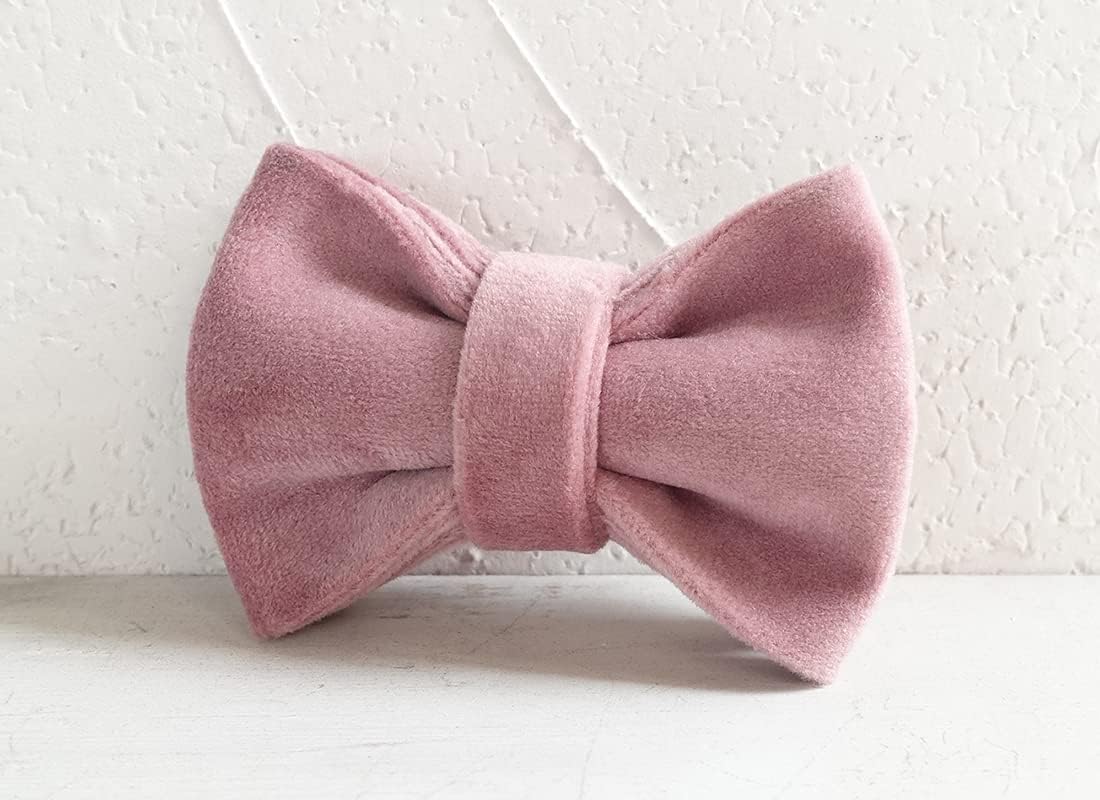 Cat Collar Personalized with Name Engraved and Bell, Customized Velvet Collars for Puppy Kittens (Pink, L)