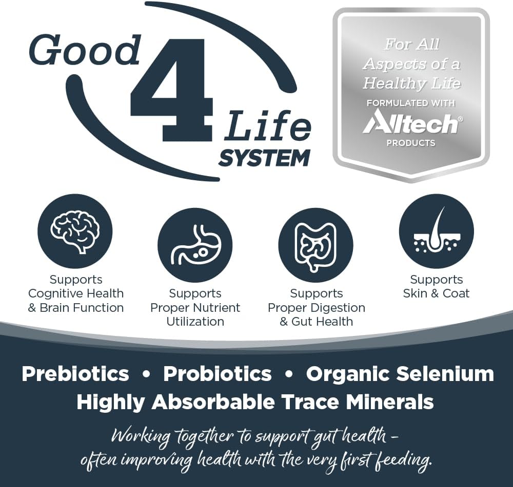 NutriSource Harvest Selects Northern Feast Dog Cans, Premium Wet Dog Food, 12.3 Ounce (Pack of 12)