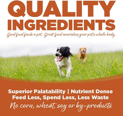 NutriSource Harvest Selects Hunter's Bounty Dog Cans, Premium Wet Dog Food, 12.3 Ounce (Pack of 12)