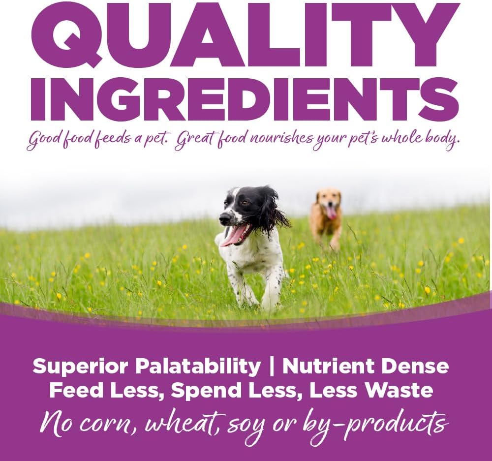 NutriSource Chicken & Rice Puppy Food, Premium Wet Dog Food, 12.3 Ounce (Pack of 12)