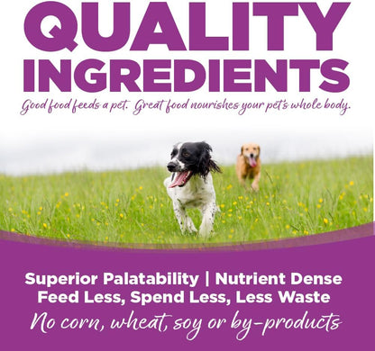 NutriSource Chicken & Rice Puppy Food, Premium Wet Dog Food, 12.3 Ounce (Pack of 12)