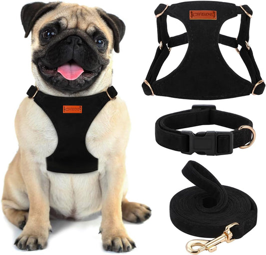 No Pull Dog Harness- Lightweight, Soft, Adjustable Small Harness Collar and Leash Set, Suitable for Cats Puppy Small and Medium-Sized Dog Outdoor Training and Running (Black, S)
