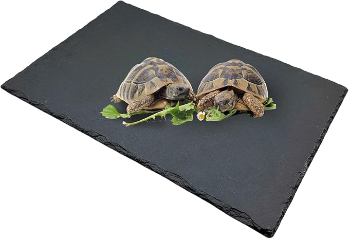 Reptile Basking Platform Turtle Rock Plate 11.8''X7.8'' Feeding Platform Food Bowl Slate Dish Bathing Rock Resting Terrace for Lizard Bearded Dragon Chameleon Gecko Snake Frog Newt