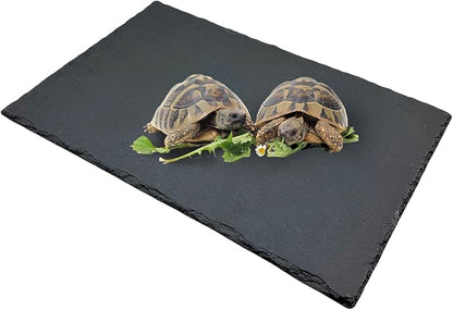 Reptile Basking Platform Turtle Rock Plate 11.8''X7.8'' Feeding Platform Food Bowl Slate Dish Bathing Rock Resting Terrace for Lizard Bearded Dragon Chameleon Gecko Snake Frog Newt