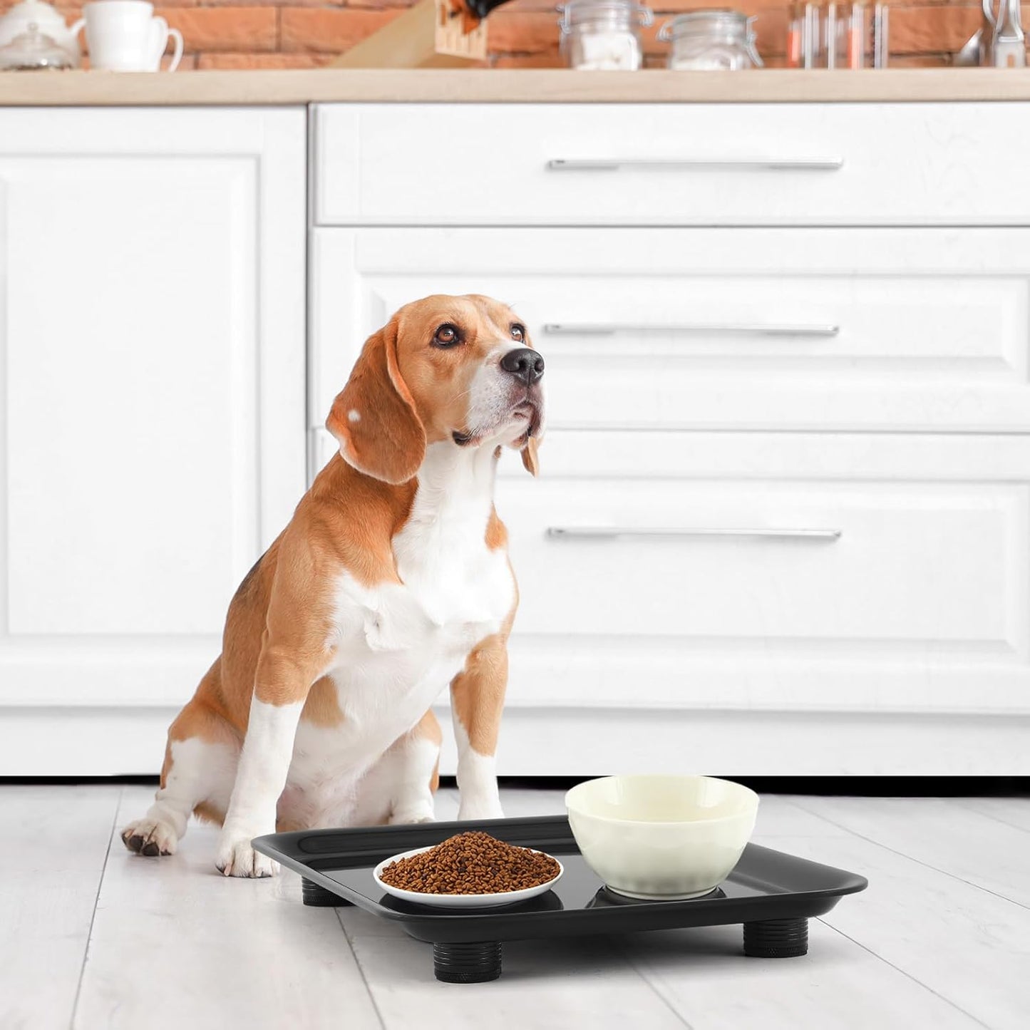 Marsui Ant Proof Cat Dog Bowl Tray - Waterless, Height Adjustable Legs for Pet Neck Comfort No Pest Pet Food Feeding Station, Kitchen Sweets & Trash Ant Barrier(23mm-37mm)