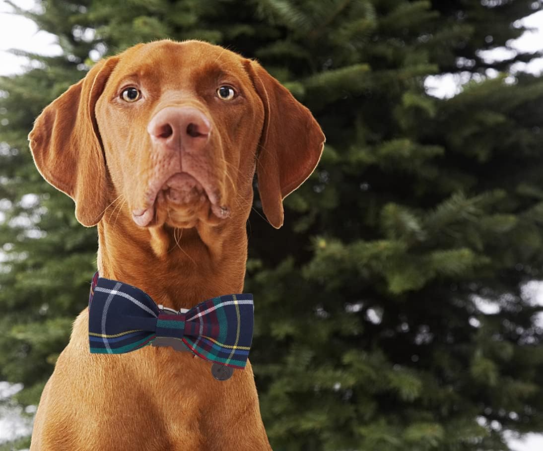 DOGWONG Christmas Dog Collar with Bow tie, Red Blue Plaid Gingham Dog Collar Soft Durable Adjustable Cotton Blue Tartan Puppy Collar for Small Medium Large Dog