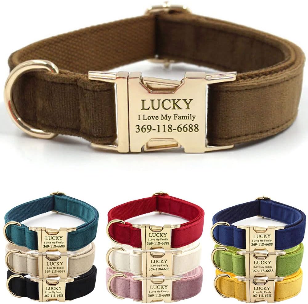 PETDURO Custom Dog Collar Personalized with Name Engraved Quick Release Gold Metal Buckle for Large Medium Small Girl Dogs - Dog Leash and Bow Tie Available - Soft Comfy Velvet (Brown G, L)