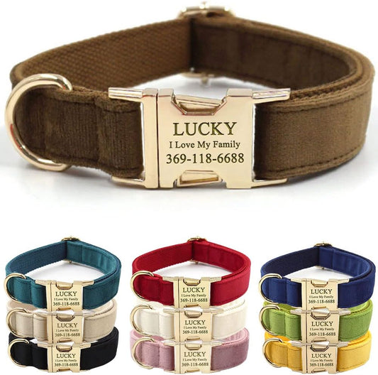 PETDURO Custom Dog Collar Personalized with Name Engraved Quick Release Gold Metal Buckle for Large Medium Small Girl Dogs - Dog Leash and Bow Tie Available - Soft Comfy Velvet (Brown G, L)
