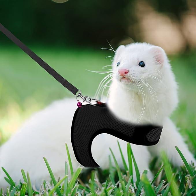 Rypet Animal Harness and Leash - Soft Mesh Pet Harness With Safe Bell, No Pull Comfort Padded Vest for Small Pet Black S