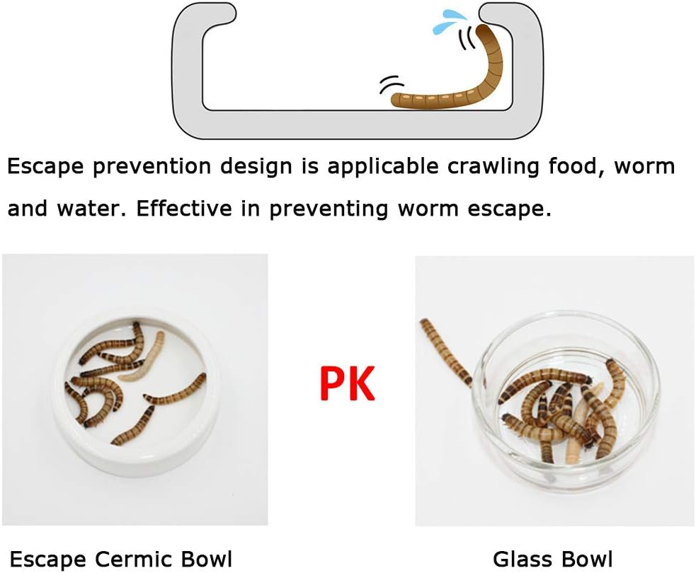 Tfwadmx 2 Pack Reptile Food Bowl, Mini Ceramic Water Feeder Bowl, Reptile Worm Feeding Dish for Lizard Turtle Bearded Dragon Anoles Crested Gecko Hermit Crab Leopard Gecko Chameleon Corn Snake
