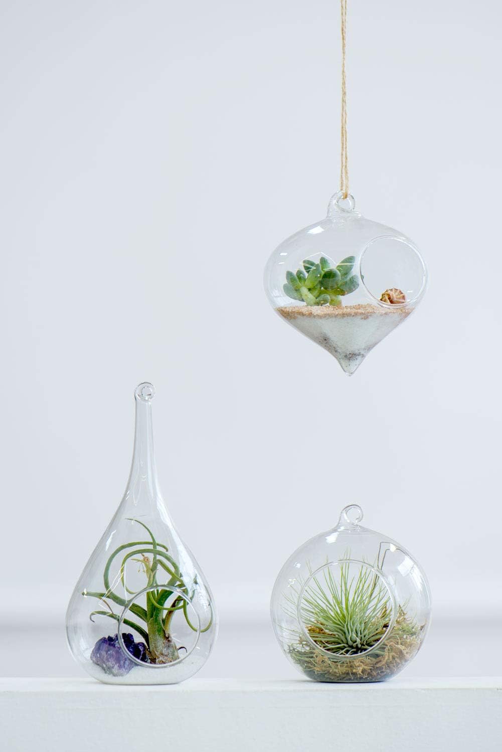 Mkono 3 Pack Glass Hanging Planter Air Fern Holder Terrarium Plants Hanger Vase, Home Christmas Decoration Gifts for Plant Lovers, Succulent Moss Tillandsias Air Plants Globe (Plant Not Included)