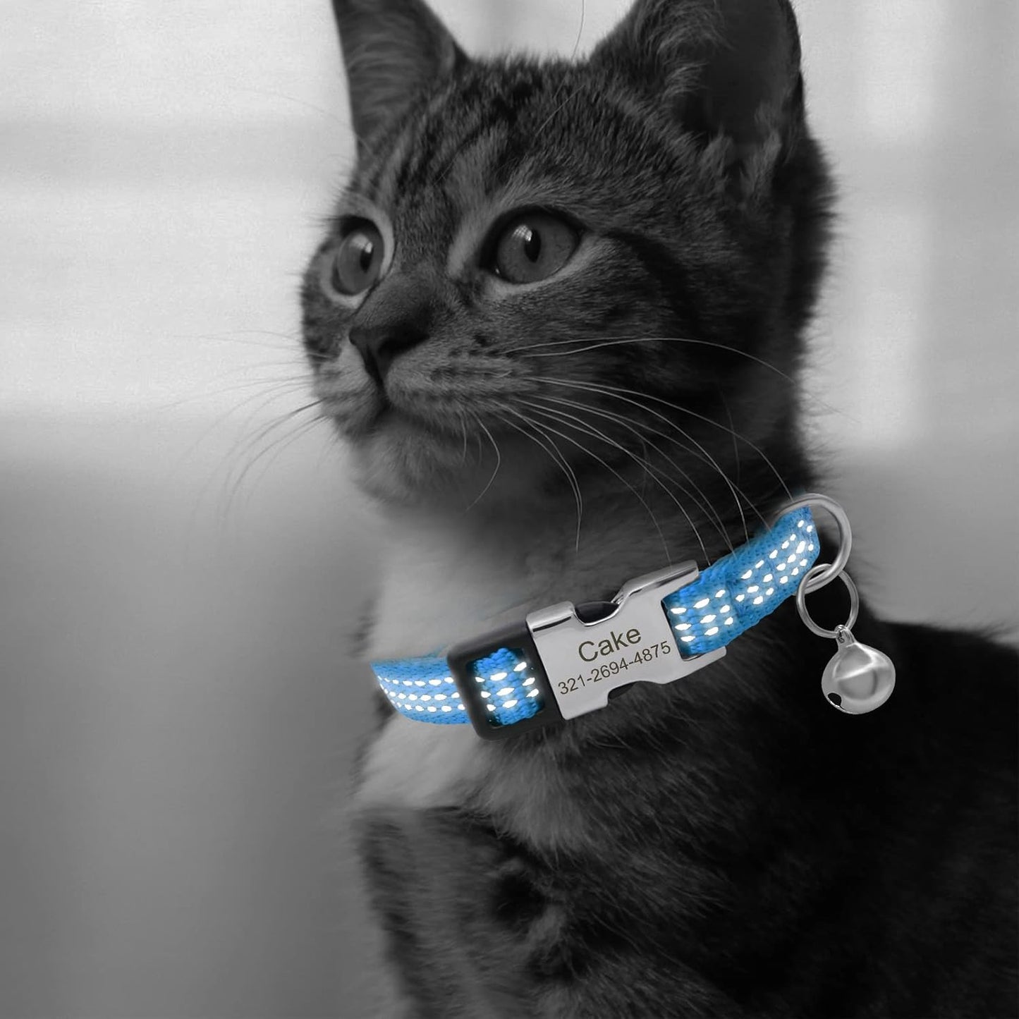 Personalized Reflective Nylon Cat Collar with Name Phone,Custom Engraved Buckle Cat Collar with Bell,Adjustable for Small Dogs Puppy Kitten (Light Blue,fit 7.5''-12.0'')