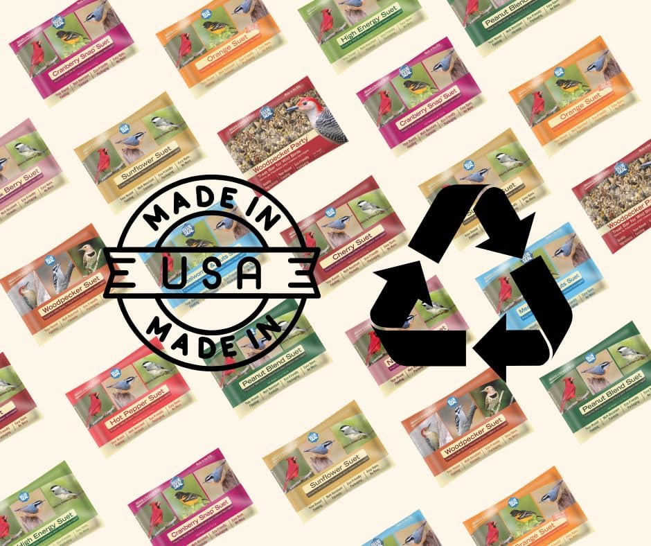 Blue Seal Mealworms & Nuts Suet Cakes for Wild Birds - No Mess Suet Feed, Food for Woodpeckers, Cardinals, Siskins, Sparrows & More - 11oz Suet Feeder, Bird Seed Cakes (Pack of 12)