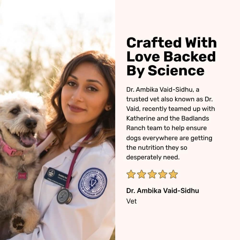 BADLANDS RANCH by Katherine Heigl- Superfood Complete, Air-Dried Adult Dog Food - High Protein, Zero Fillers, Superfood Nutrition (24 Ounce (Pack of 4), Beef)