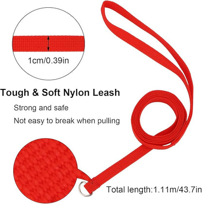 Hypeety 6 Pcs Bulk Pack Slip Leads Dog Pet Grooming Kennel Small Animal Control Shelter Lead Leash