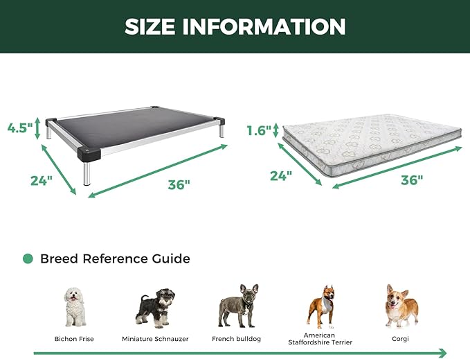 FXW TitanNest Chew-Proof Elevated Dog Bed, Raised Cot for Indoor/Outdoor/Camping Use, Durable & Washable Padded Pet Bed with Exclusive Cover for Small Dogs, 36.0" L x 24.0" W x 4.5" H, Gray