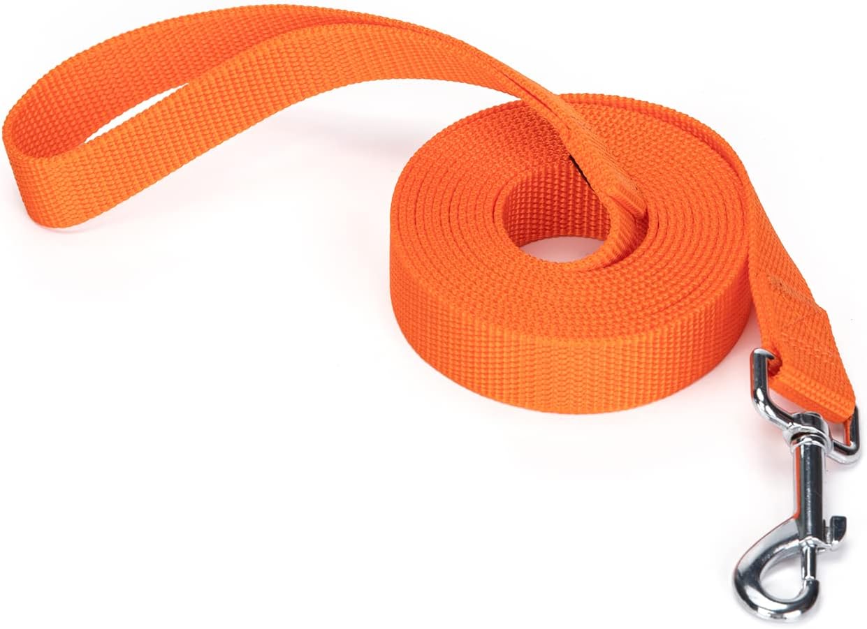 Strong Durable Nylon Dog Training Leash, 1 Inch Wide Traction Rope, 6 ft 10ft 15ft Long, for Small and Medium Dog (Orange, 10 Feet)
