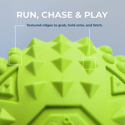 Best Pet Supplies Squeaky Dog Toys with Soft Durable Fabric for Small, Medium and Large Pets Interactive Toy for Indoor Play, Supports Active Biting and Play - Fuchsia, Green (L:3.5")