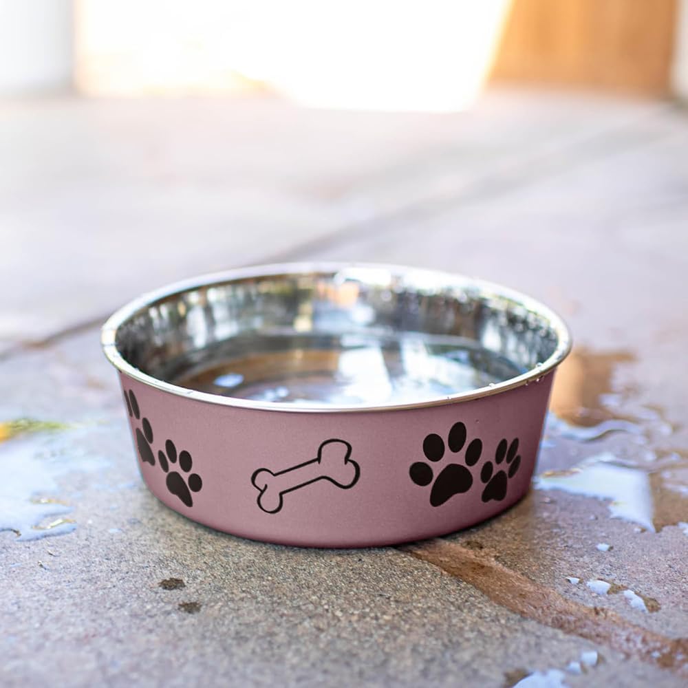 Loving Pets Bella Dog Bowls- Stainless Steel Dog & Cat Bowls - Spill Proof Dog Food Bowl, Cat Bowl, Puppy Essentials & Pet Supplies Great for Home & Travel (Medium 20-35 lbs, Grape)