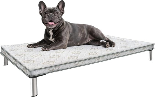 FXW TitanNest Chew-Proof Elevated Dog Bed, Raised Cot for Indoor/Outdoor/Camping Use, Durable & Washable Padded Pet Bed with Exclusive Cover for Small Dogs, 36.0" L x 24.0" W x 4.5" H, Gray