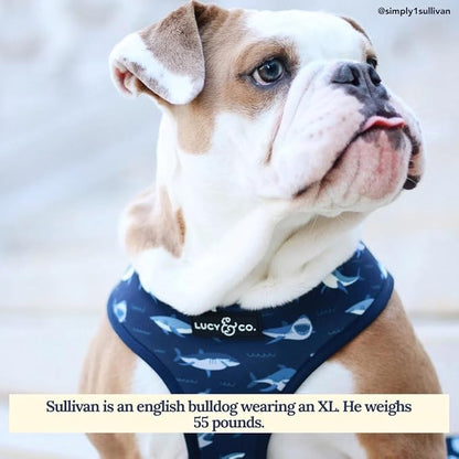 Lucy & Co. Reversible Dog Harness Walking Halter - Harnesses for Small Medium Large XL Dogs - Padded Adjustable - for German Shepherd Pug French Bulldog English Bulldog