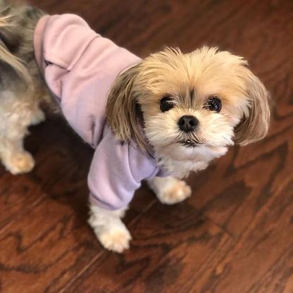 Jecikelon Winter Dog Hoodie Sweatshirts with Pockets Warm Dog Clothes for Small Dogs Chihuahua Coat Clothing Puppy Cat Custume (Purple, Small)