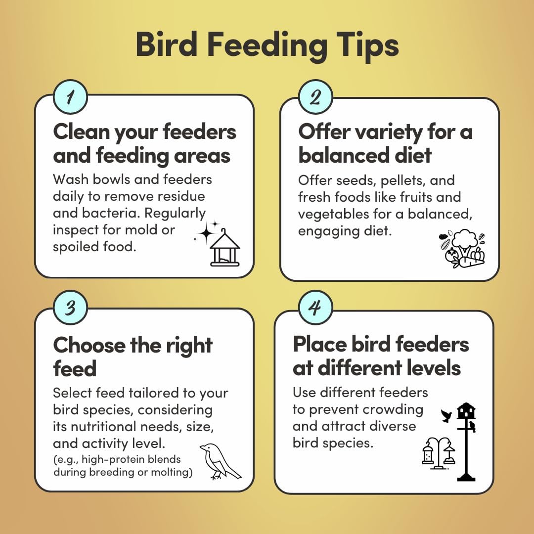 Mycelium Organic Cockatoo Bird Seed (5 LB Bag) | High-Protein Bird Food with Seeds, Pellets & Kibble | Supports Feather Health, Energy & Digestion | Non-GMO, USA-Grown