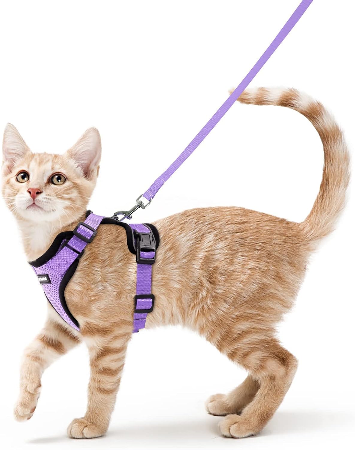 rabbitgoo Cat Harness and Leash for Walking, Escape Proof Soft Adjustable Vest Harnesses for Cats, Easy Control Breathable Reflective Strips Jacket, Light Purple, XS