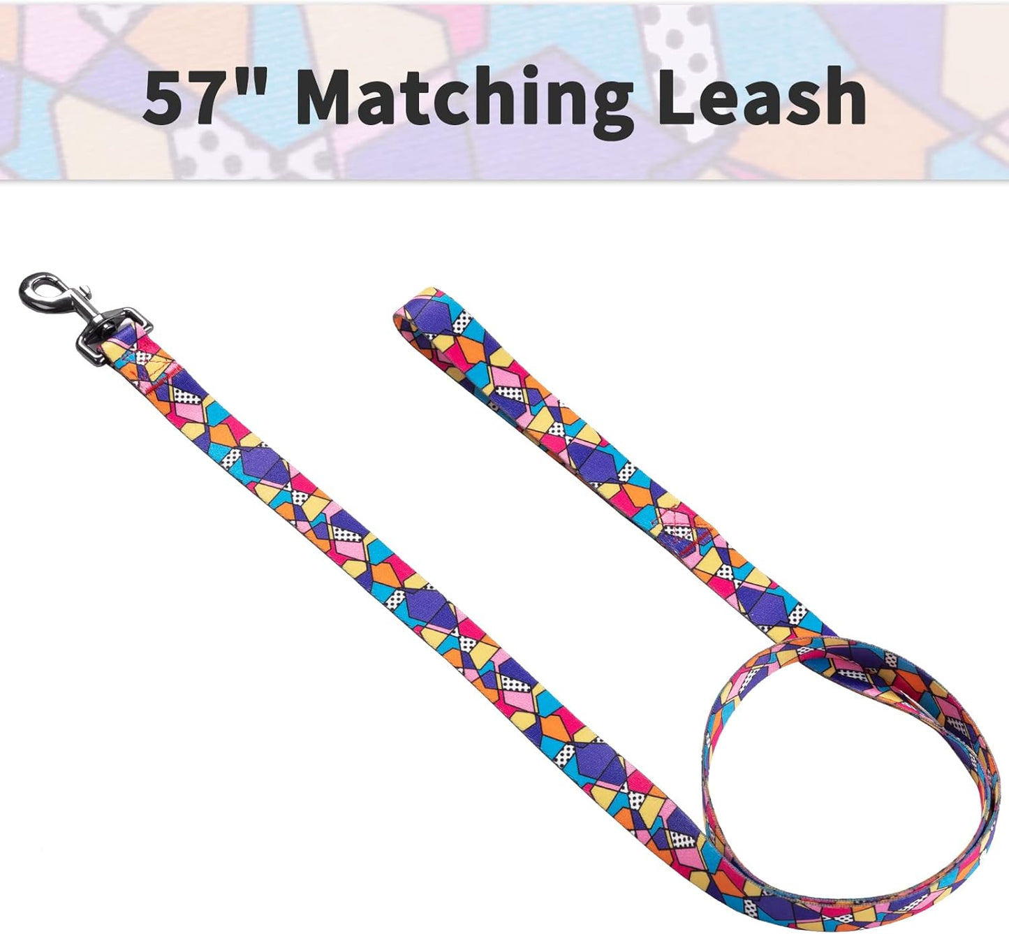 Ihoming Dog Collar and Leash Set for Daily Outdoor Walking Running Training, Geometric Design for Small Boys Girls Dogs Cats Pets, S-Up to 20LBS