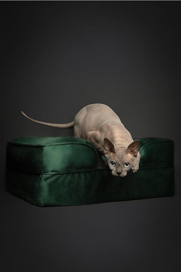 NOAH & PAW Small Dog Bed, 20x15x8 Inch, Cat Bed for Indoor Cats, Orthopedic Eggshell Memory Foam Infused with Cooling Gel, Waterproof Inner Cover Machine Washable (Velvet Collection)