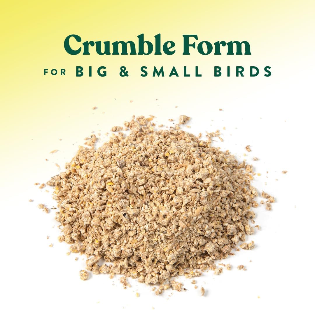 Manna Pro All Flock Crumbles – 16% Protein Complete Poultry Feed with Probiotics for Digestion, Crumbled Chicken & Game Bird Feed for All Flock Types, No Artificial Colors or Flavors, 25 lb