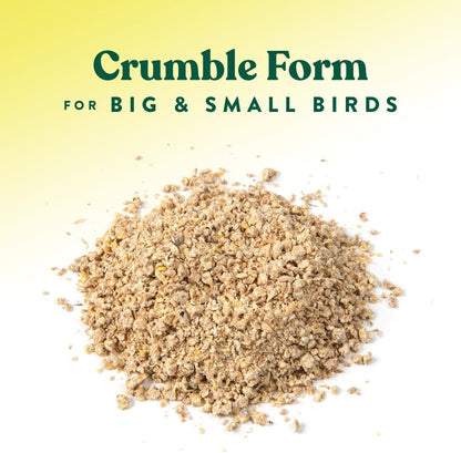 Manna Pro All Flock Crumbles – 16% Protein Complete Poultry Feed with Probiotics for Digestion, Crumbled Chicken & Game Bird Feed for All Flock Types, No Artificial Colors or Flavors, 25 lb
