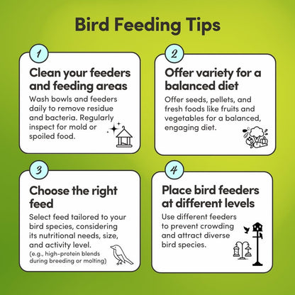 Mycelium Organic Large Hookbill Plus Bird Food (5 LB Bag) | Premium Daily Bird Seed for Macaws, Cockatoos, & Amazons | High-Protein, Vitamin-Fortified Skin & Feather Support | Non-GMO & USA-Made