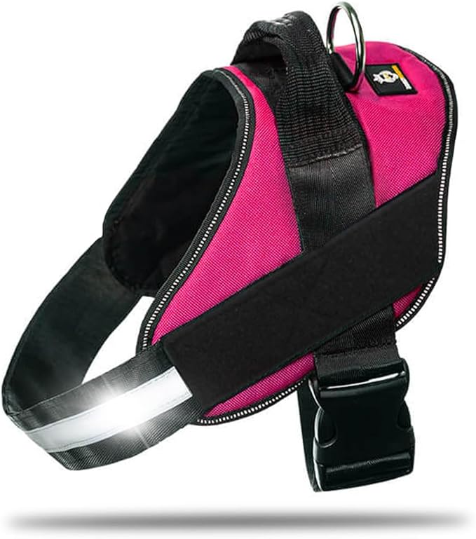 Non Pull Dog Harness with Patch Panels and Handle, Adjustable, Reflective, No Choke, Heavy Duty Easy On Service Dog Vest Harnesses for Medium Large Small Sized Dogs - Rose Red, 2XL