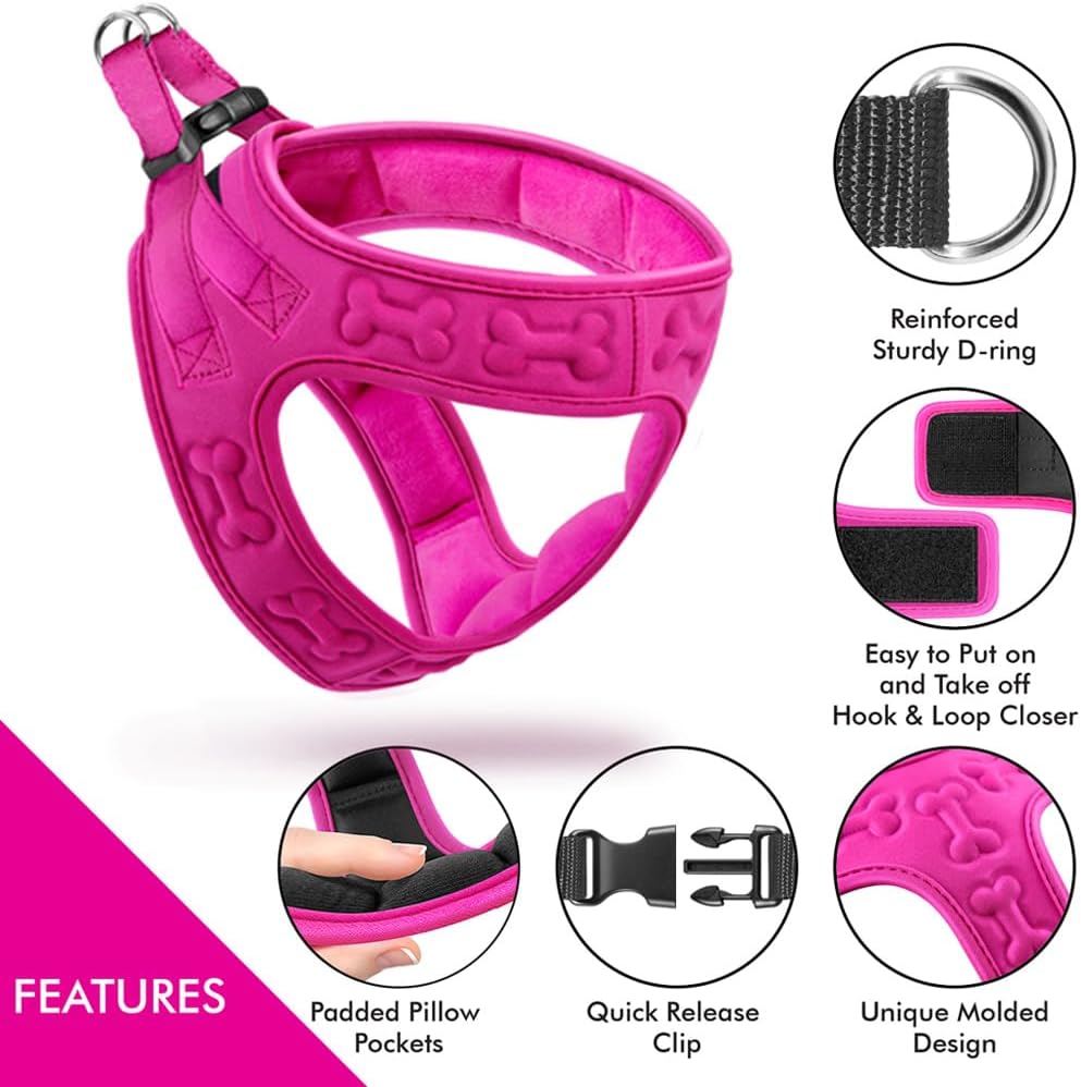 Comfort fit Step-in Dog & Puppy Harness - Comfortable All Weather Dog Vest Harness: Adjustable, Soft Padded, Easy to Put-on for Small, Medium-Sized Dogs.