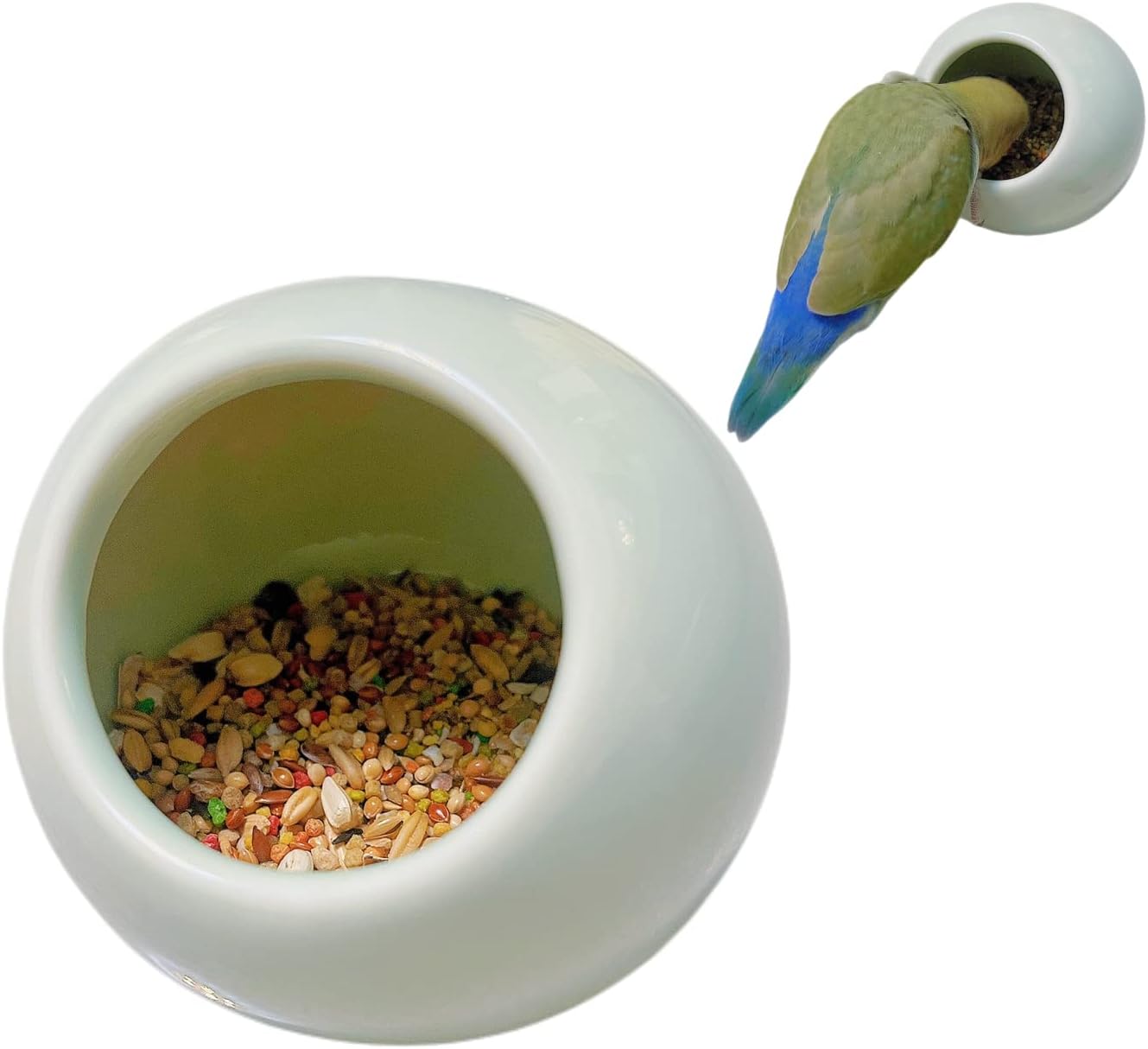Bird Feeder Ceramic Anti-Spill Food Bowl for Parrot Cockatiels Parakeets Conures Zebra Finch Hamsters Guinea Pigs Rabbits Gerbil- Small Pet Supplies (Green)