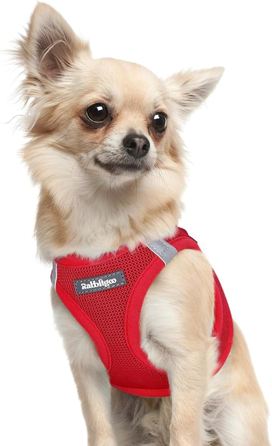 rabbitgoo Small Dog Harness, Step-in Soft Mesh Puppy Vest with Safety Buckle, Breathable Reflective Pet Harness for Extra Small Dogs, Red XXXS