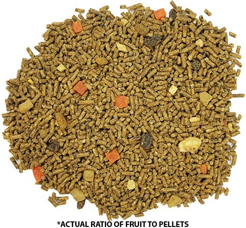 Exotic Nutrition Glider Complete 18 lb | Natural Fruit Bits | Sugar Glider Food