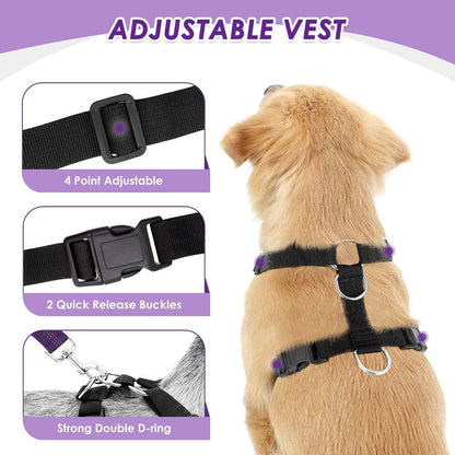 Lukovee Dog Seat Belt - Adjustable Dog Car Harness for Large, Medium & Small Dogs, Soft Padded & Breathable Mesh Dog Seatbelt with Car Vehicle Connector Strap (Purple Double Clip, Medium)