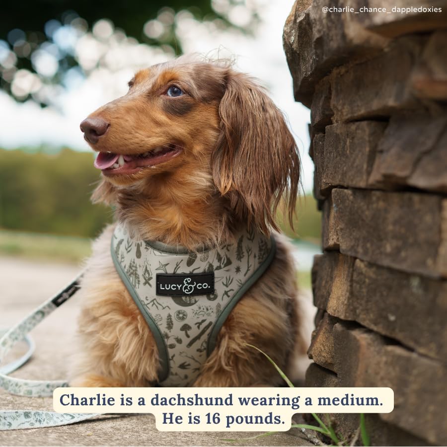 Lucy & Co. Cute Reversible Dog Harness Walking Halter - Best Designer Pet Harnesses for XS - XL Dogs - Padded Adjustable Vest for Easy Walking-Medium-Green Outdoor Plaid
