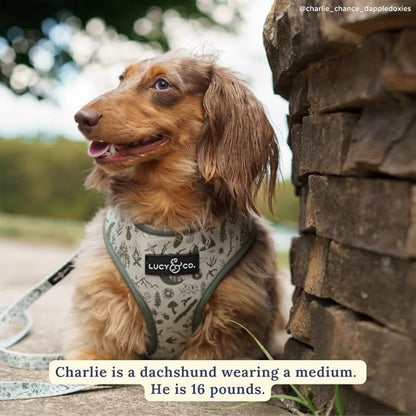 Lucy & Co. Cute Reversible Dog Harness Walking Halter - Best Designer Pet Harnesses for XS - XL Dogs - Padded Adjustable Vest for Easy Walking-Large-Green Outdoor Plaid