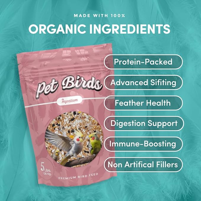 Mycelium Small Pet Bird Seed | Organic Bird Food for Conures, Cockatiels, Lovebirds | Premium Feed, Pumpkin, & Hulled Sunflower | Supports Skin & Feather Health | Non-GMO 5 lb Bag