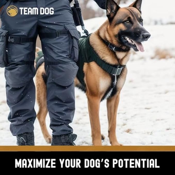 Team Dog Raw Frozen Dog Food | 65% Beef Muscle, Organ Meats, Herring & Green Tripe for Dogs | All Natural Grain Free Dog Food for Optimal Health, Digestion & Coat | 16 x 1lb Rolls